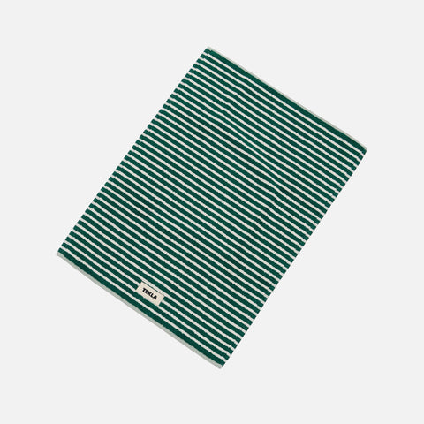 Bath Mat Teal Green Stripes