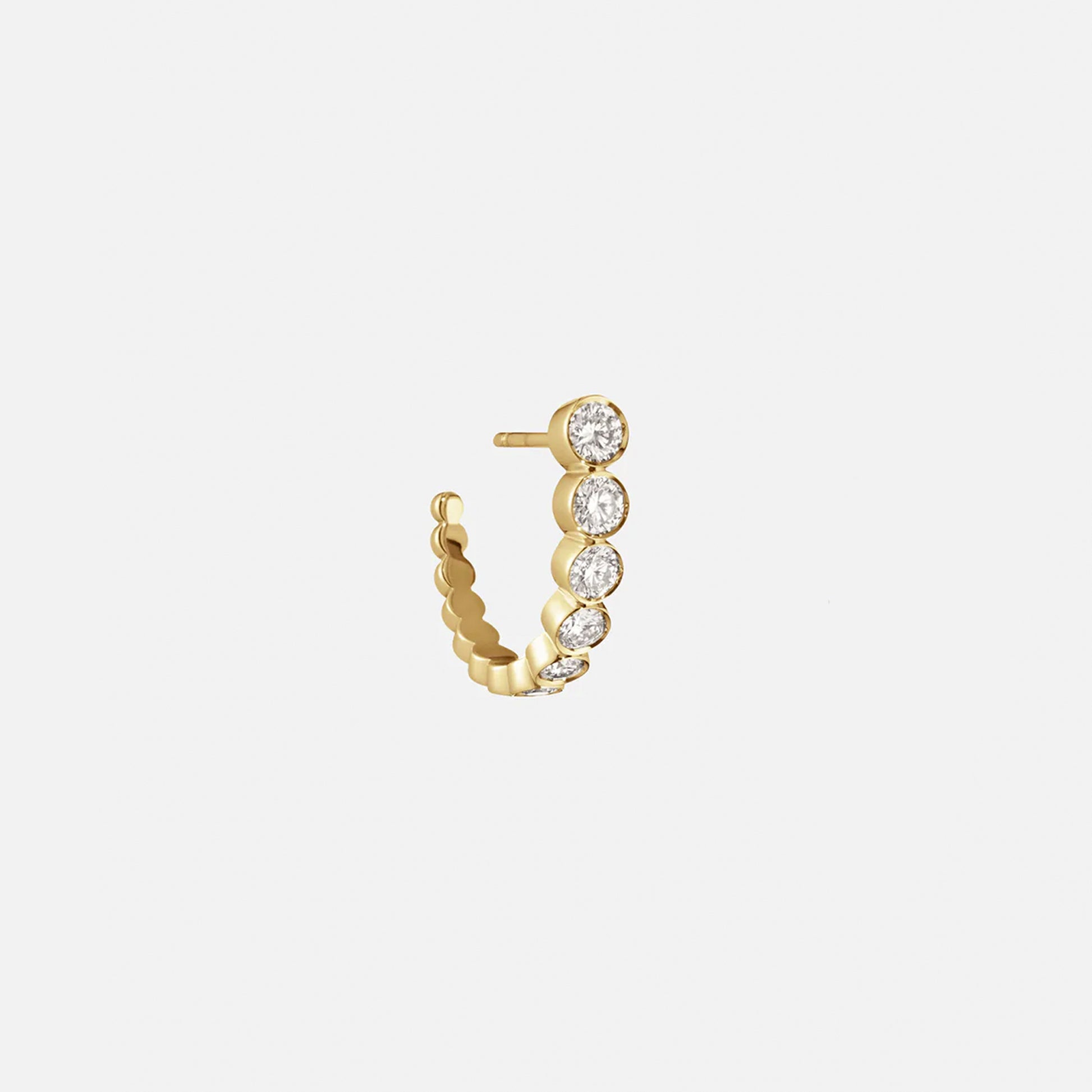 Boucle Ensemble Earring