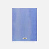 Bath Mat Clear Blue Stripes