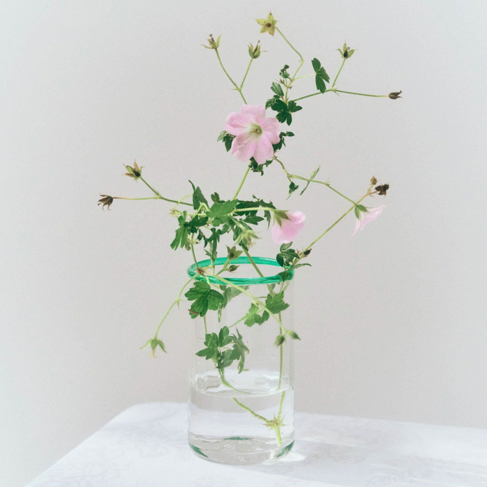 Peter Glass Small Jade Rim
