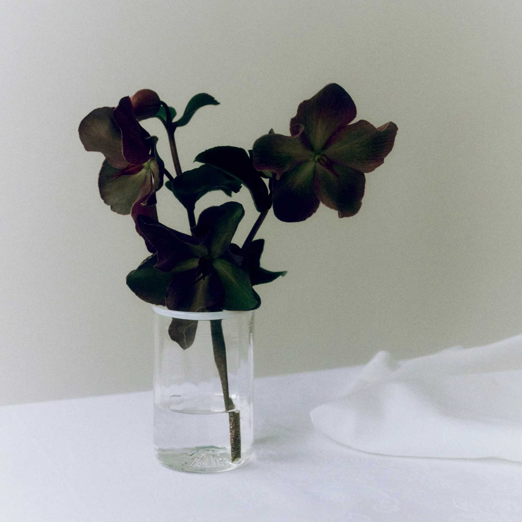 Peter Glass Small White Rim