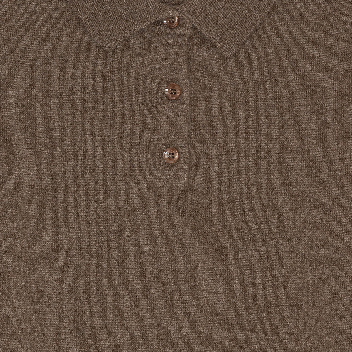 Ted Cashmere Polo Dachshund