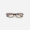 Zulu Glasses Tortoise Blue Light
